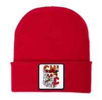 AKA CHICAGO BEANIE